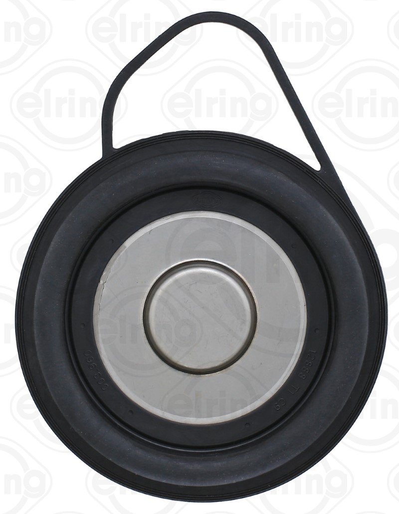 Elring Pakking/ Afdichting 003.960