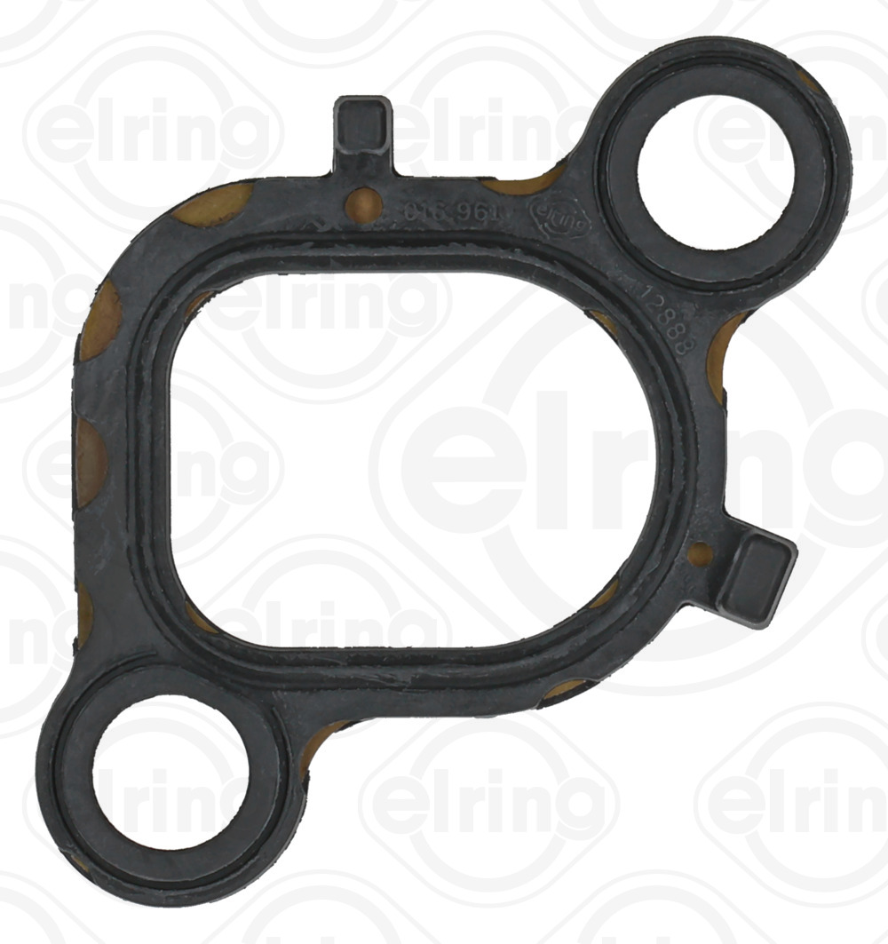 Elring Inlaatspruitstukpakking 016.961