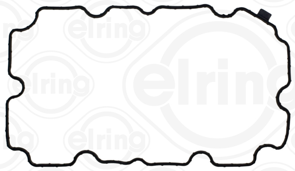 Elring Carter pakking 051.660