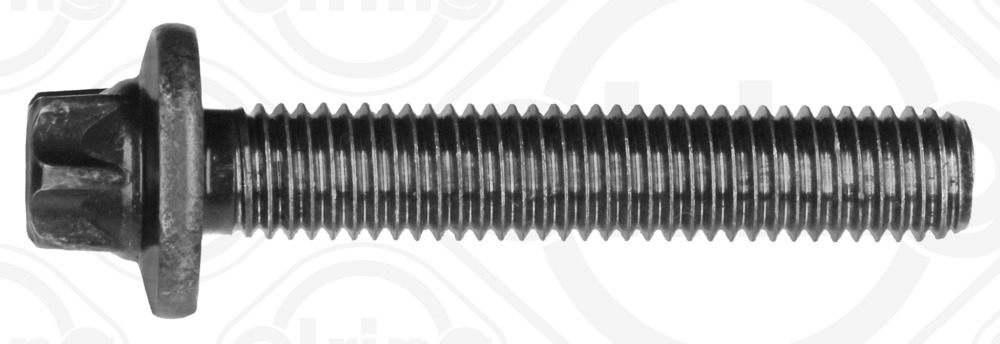 Elring Schroef 060.900