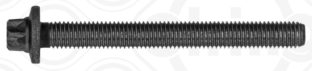 Elring Schroef 060.930