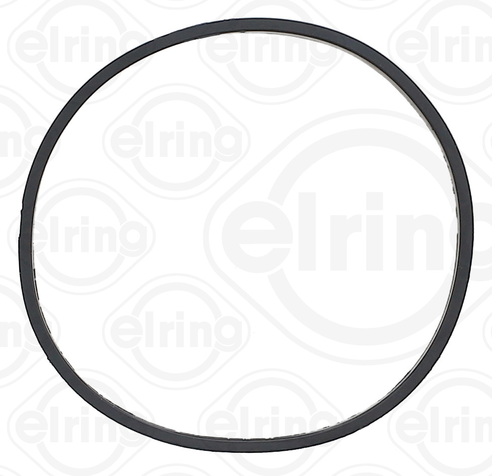 Elring Pakking, inlaatspruitstuk omkasting 091.940