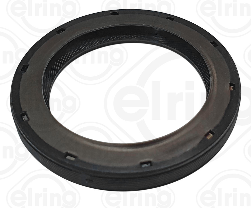 Elring Keerring, differentieel 098.040