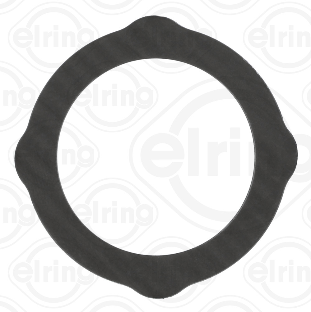 Elring Dichtring EGR-klep leiding 122.551