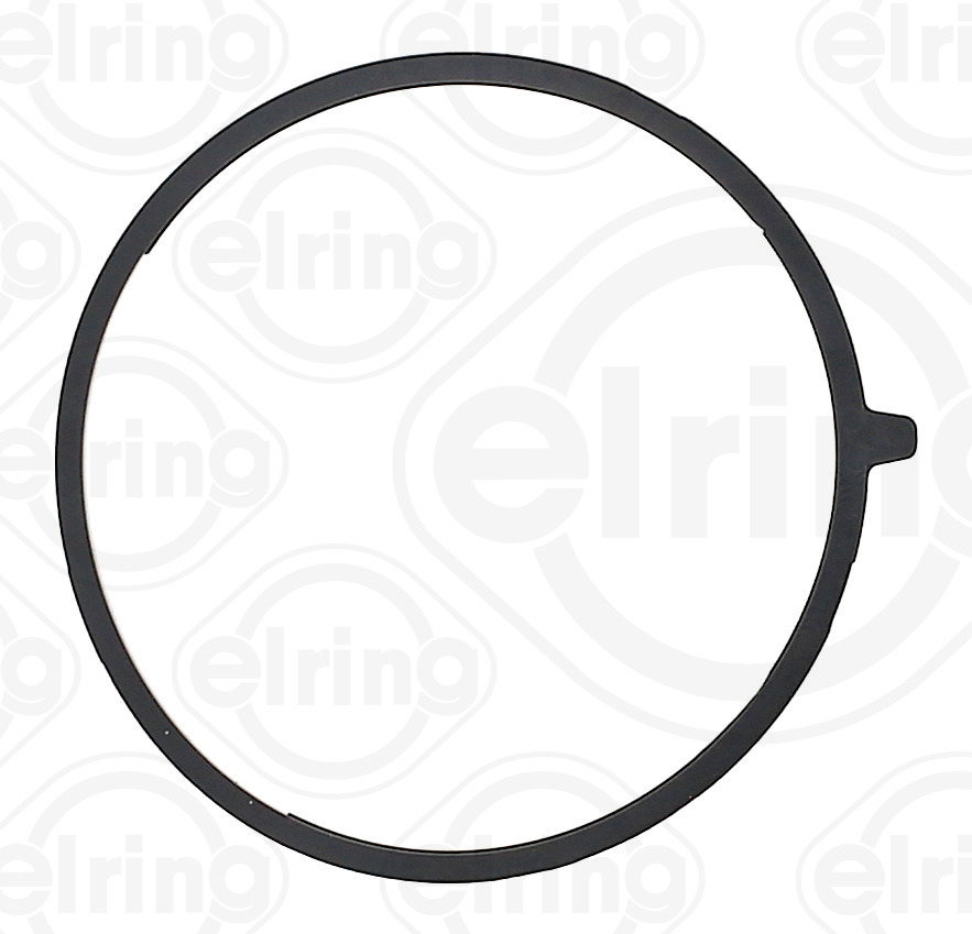 Elring Pakking, inlaatspruitstuk omkasting 147.250