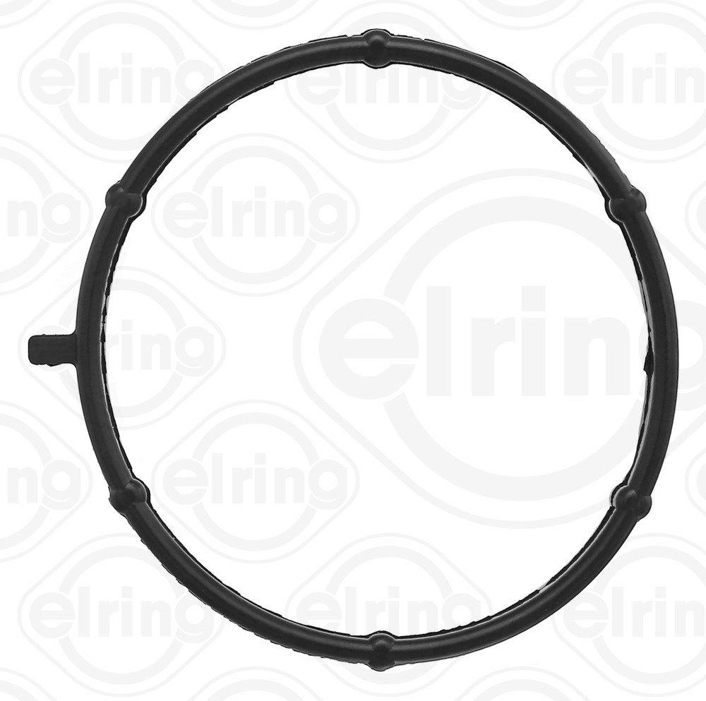 Elring Pakking, inlaatspruitstuk omkasting 161.140