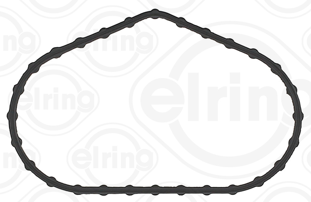 Elring Brandstofpomp pakking 194.250