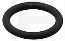 Elring Afdichtring 202.790