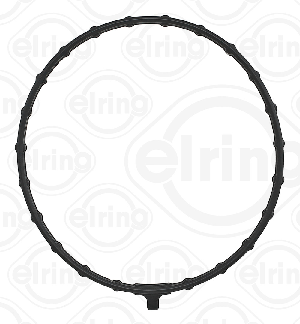 Elring Pakking, inlaatspruitstuk omkasting 206.560