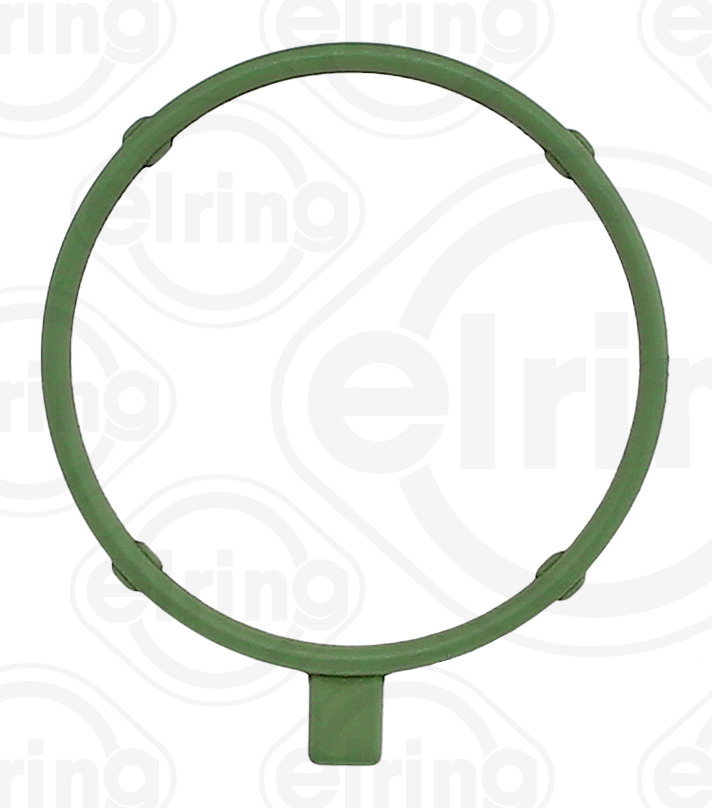 Elring Pakking, waterpomp 218.620