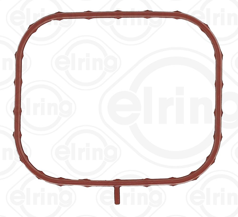 Elring Pakking, inlaatspruitstuk omkasting 219.040