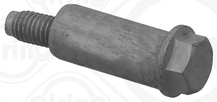 Elring Schroef, carter 269.980