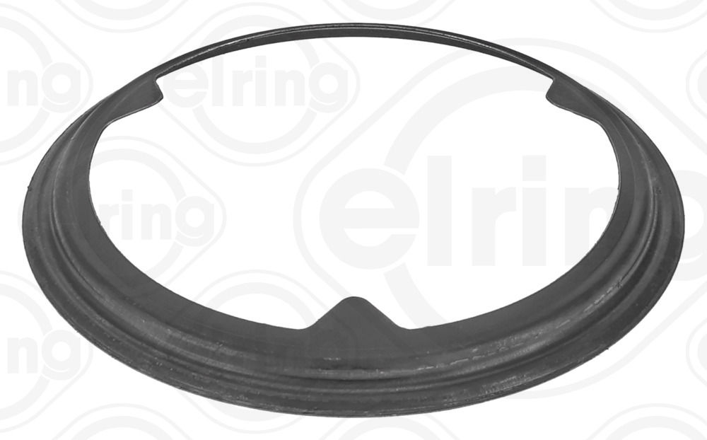 Elring Pakking, uitlaatpijp 297.930