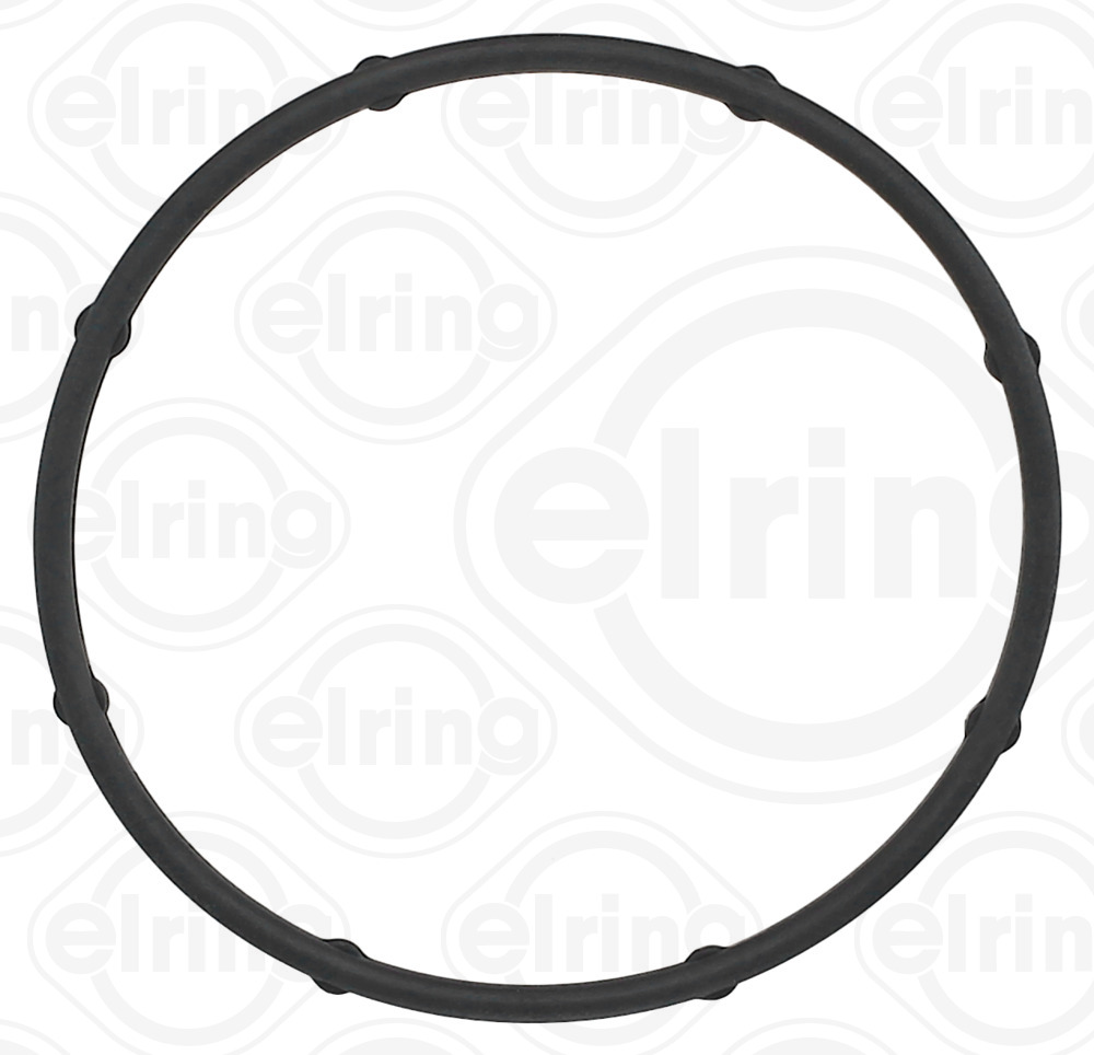 Elring Afdichtring, waterpomp 387.280