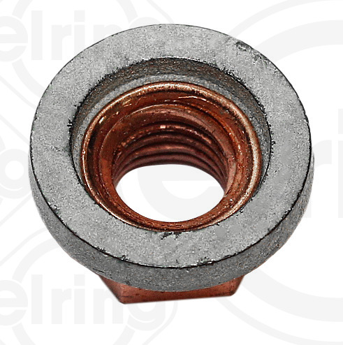 Elring Borgmoer 456.430