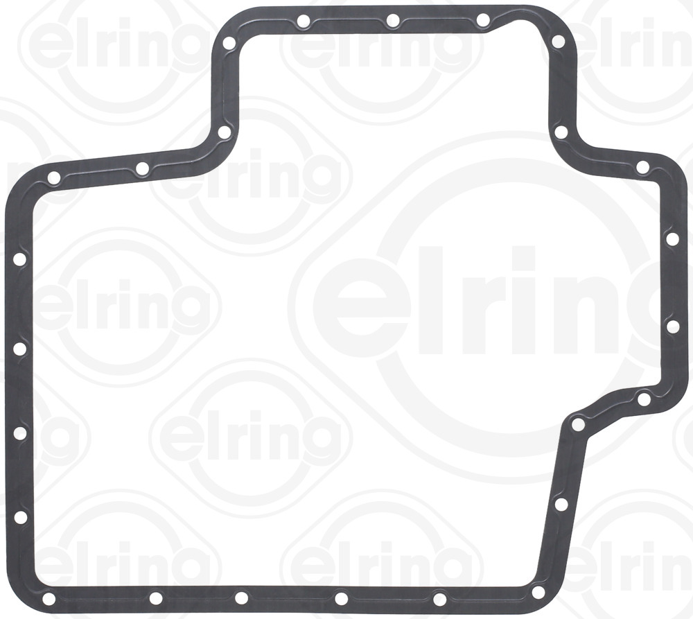 Carter pakking Elring 496.251