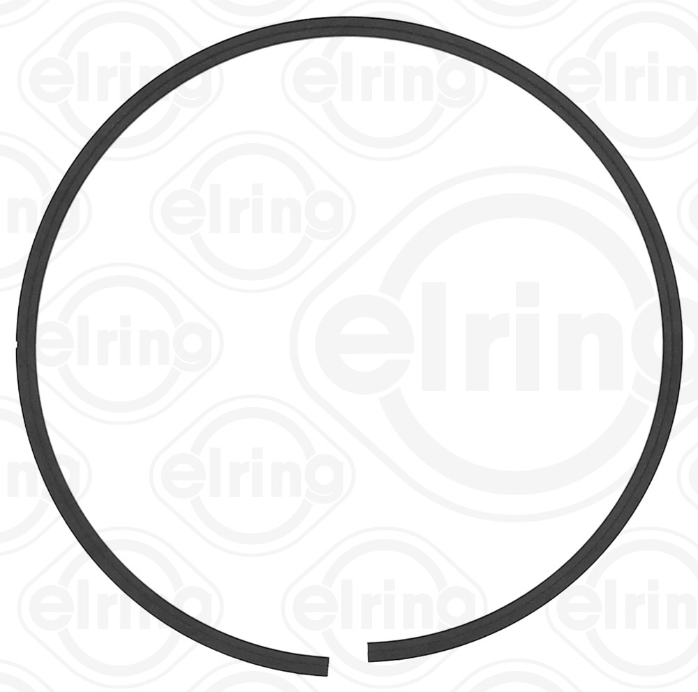 Elring Borgring 503.510