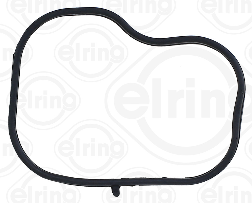 Elring Inlaatspruitstukpakking 569.290