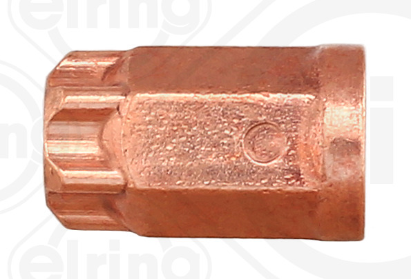 Elring Borgmoer 595.160