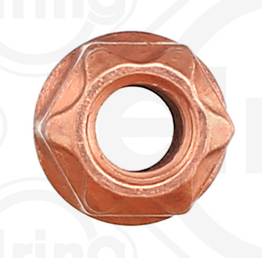 Elring Borgmoer 595.160