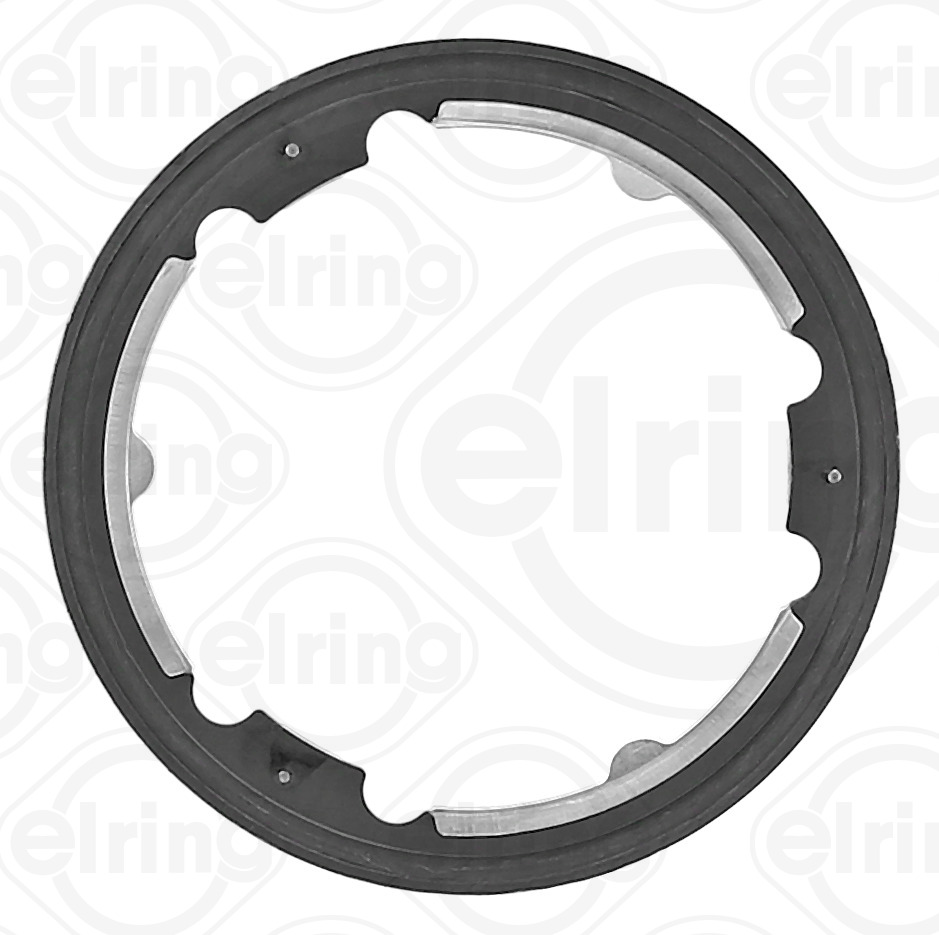 Elring Afdichting, EGR-klep 617.240