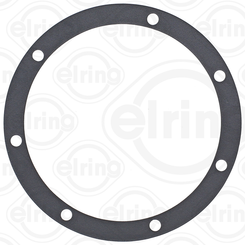Waterpomppakking Elring 842.880