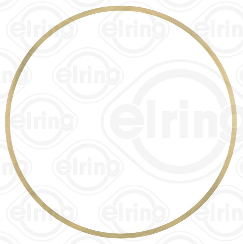 Pakking Elring 858.730