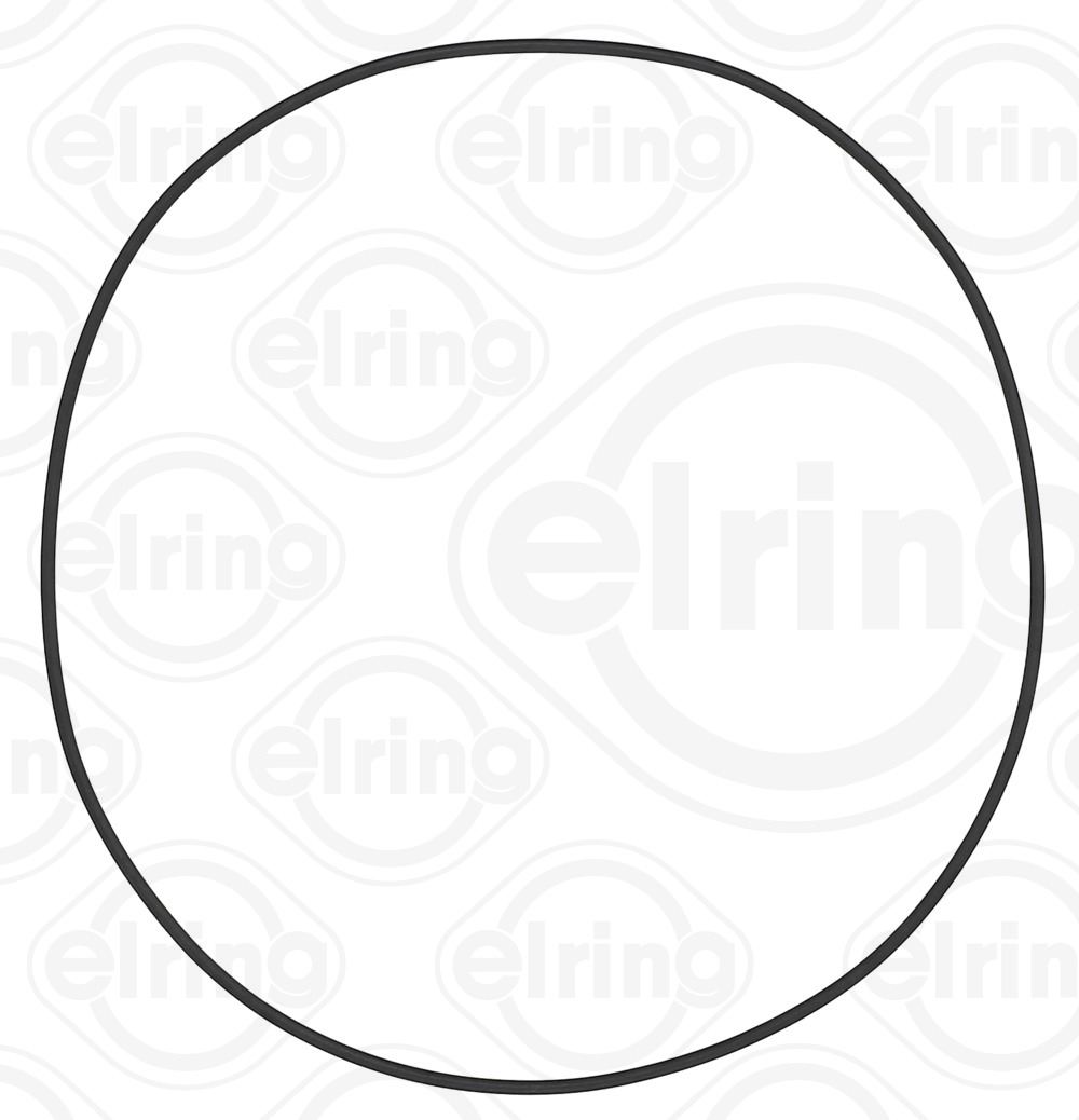 Elring Differentieel pakking B04.500