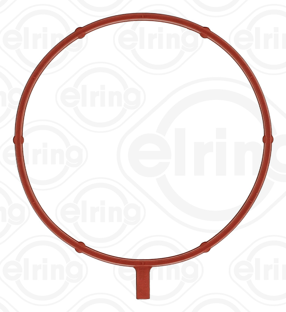 Elring Pakking, inlaatspruitstuk omkasting B10.070