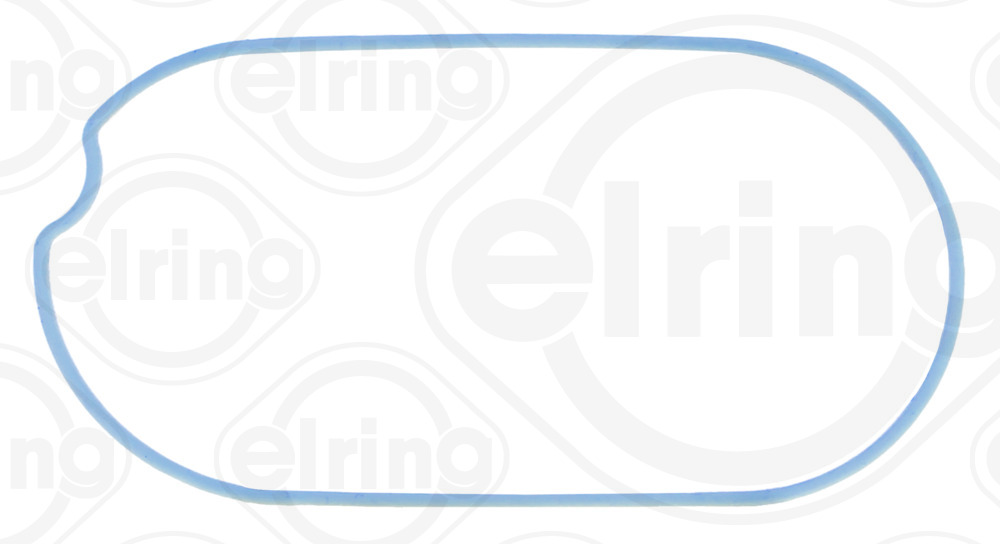 Elring Pakking, inlaatspruitstuk omkasting B19.290