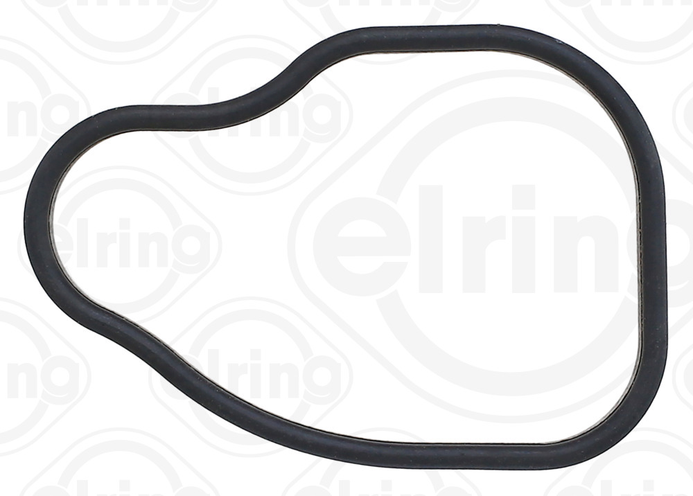 Elring Pakking, thermostaathuis B19.350