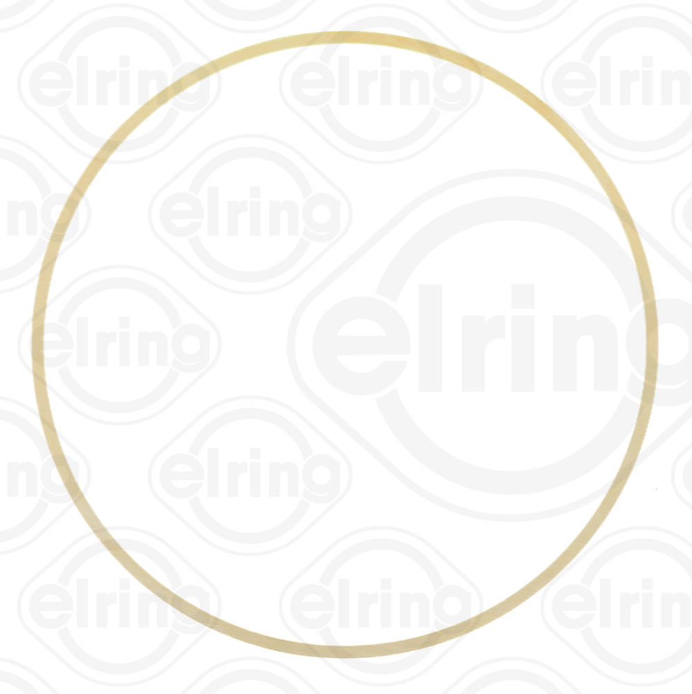 Elring Pakking, cilindervoering B28.970