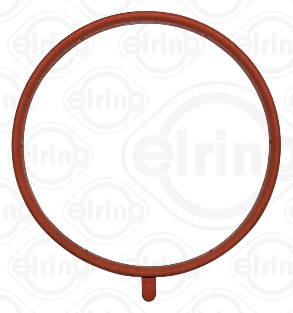 Elring Pakking, inlaatspruitstuk omkasting B29.960