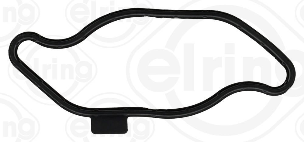 Elring Pakking, brandstofpomp B30.290