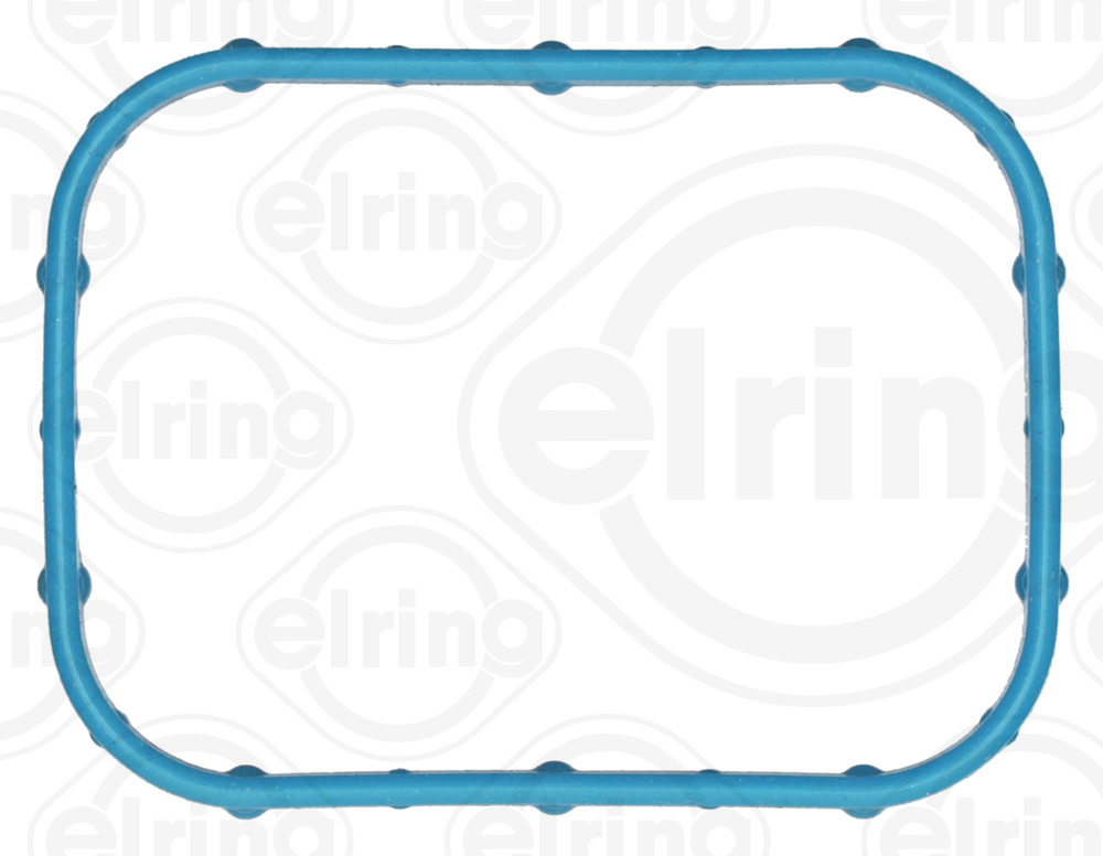 Elring Pakking, inlaatspruitstuk B43.840