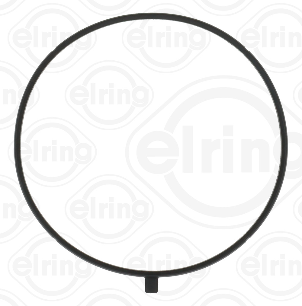 Elring Pakking, inlaatspruitstuk omkasting B45.070