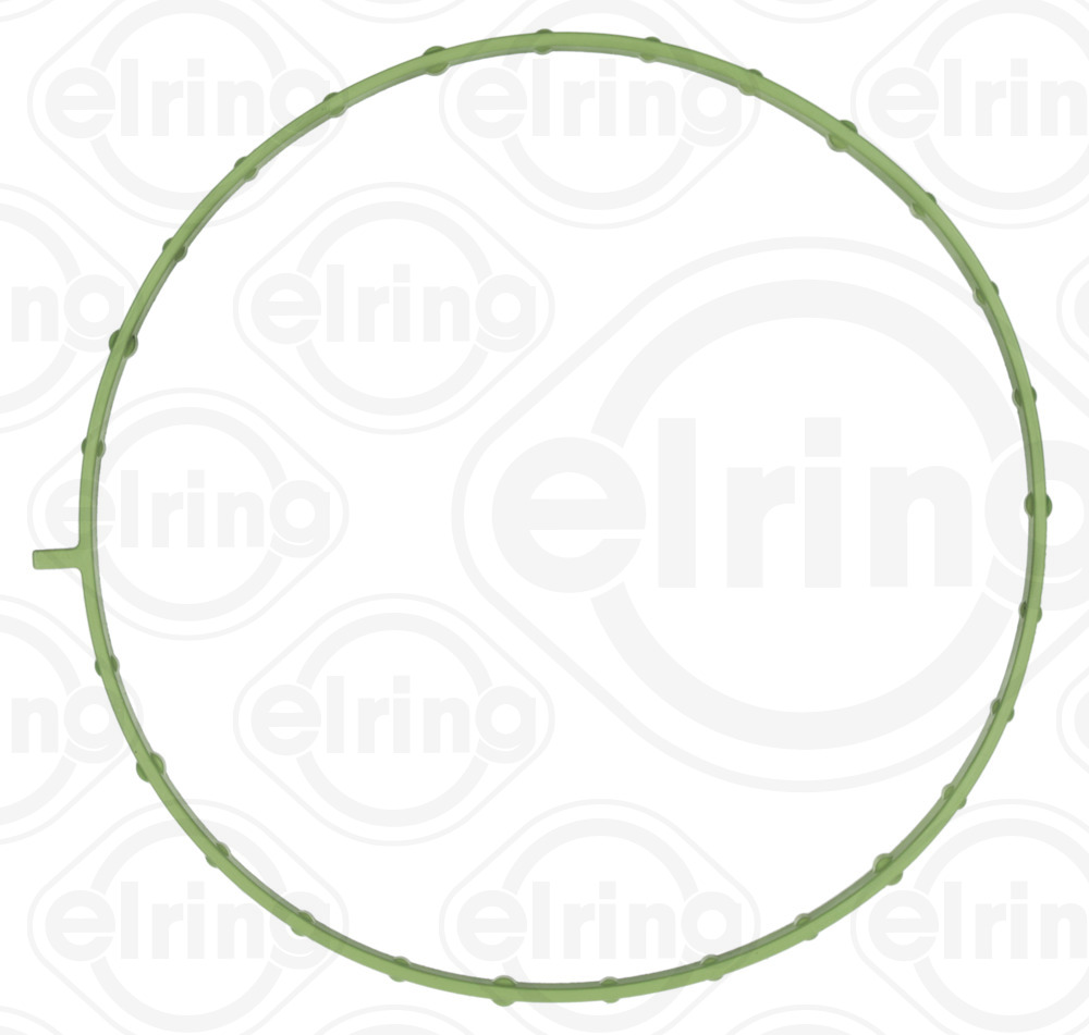 Elring Pakking, inlaatspruitstuk omkasting B45.520