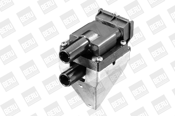 Beru Bobine ZS313