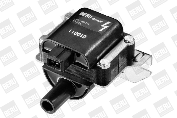 Beru Bobine ZS314