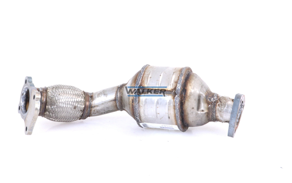 Walker Katalysator 20162