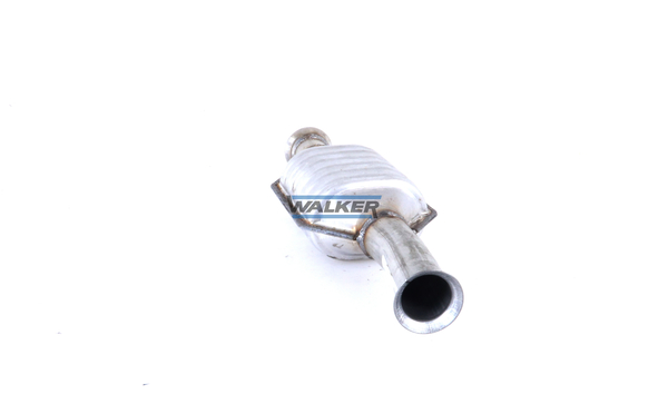 Walker Katalysator 20241