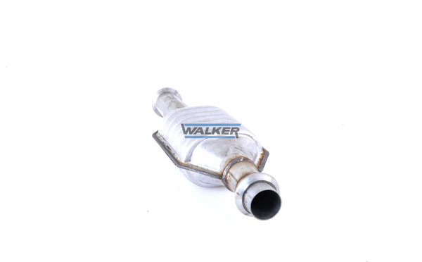Walker Katalysator 20241