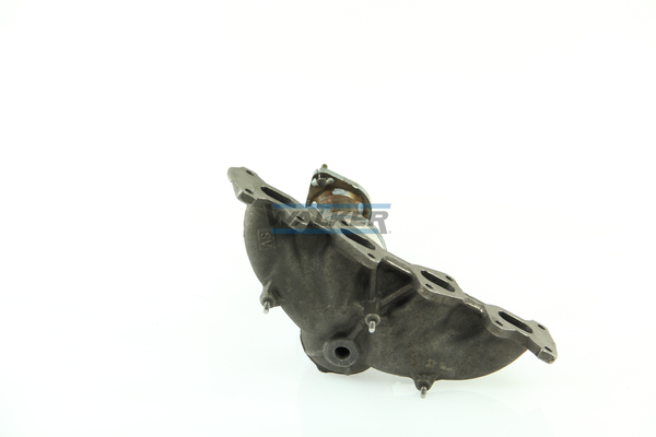 Walker Katalysator 20618