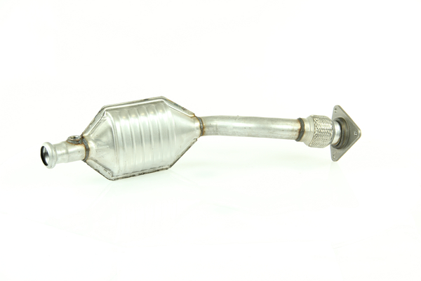 Walker Katalysator 20809