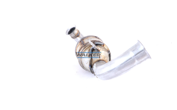 Walker Katalysator 20842