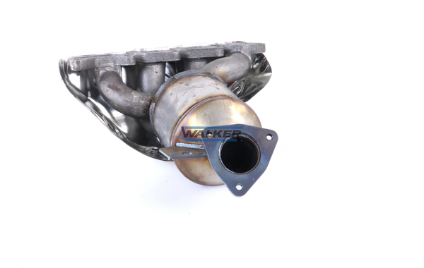 Walker Katalysator 20853