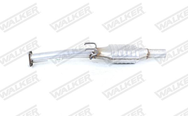 Walker Katalysator 20887