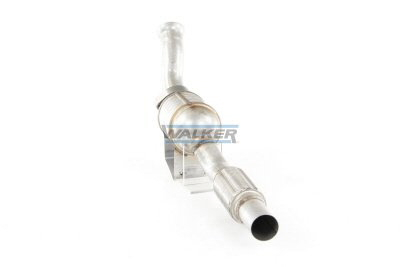 Walker Katalysator 20907