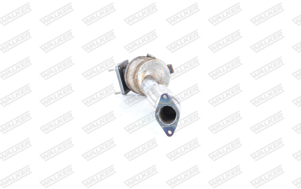 Walker Katalysator 28207