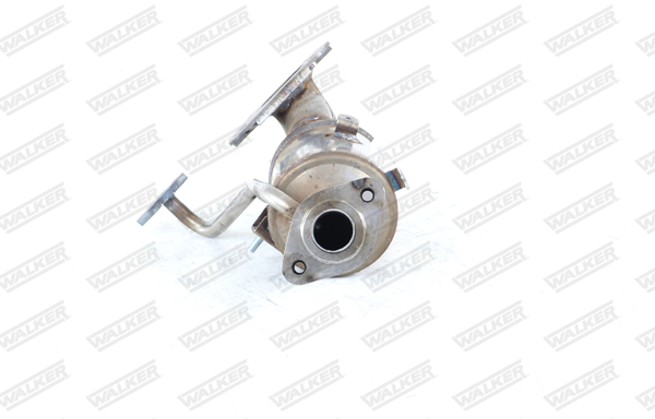 Walker Katalysator 28816